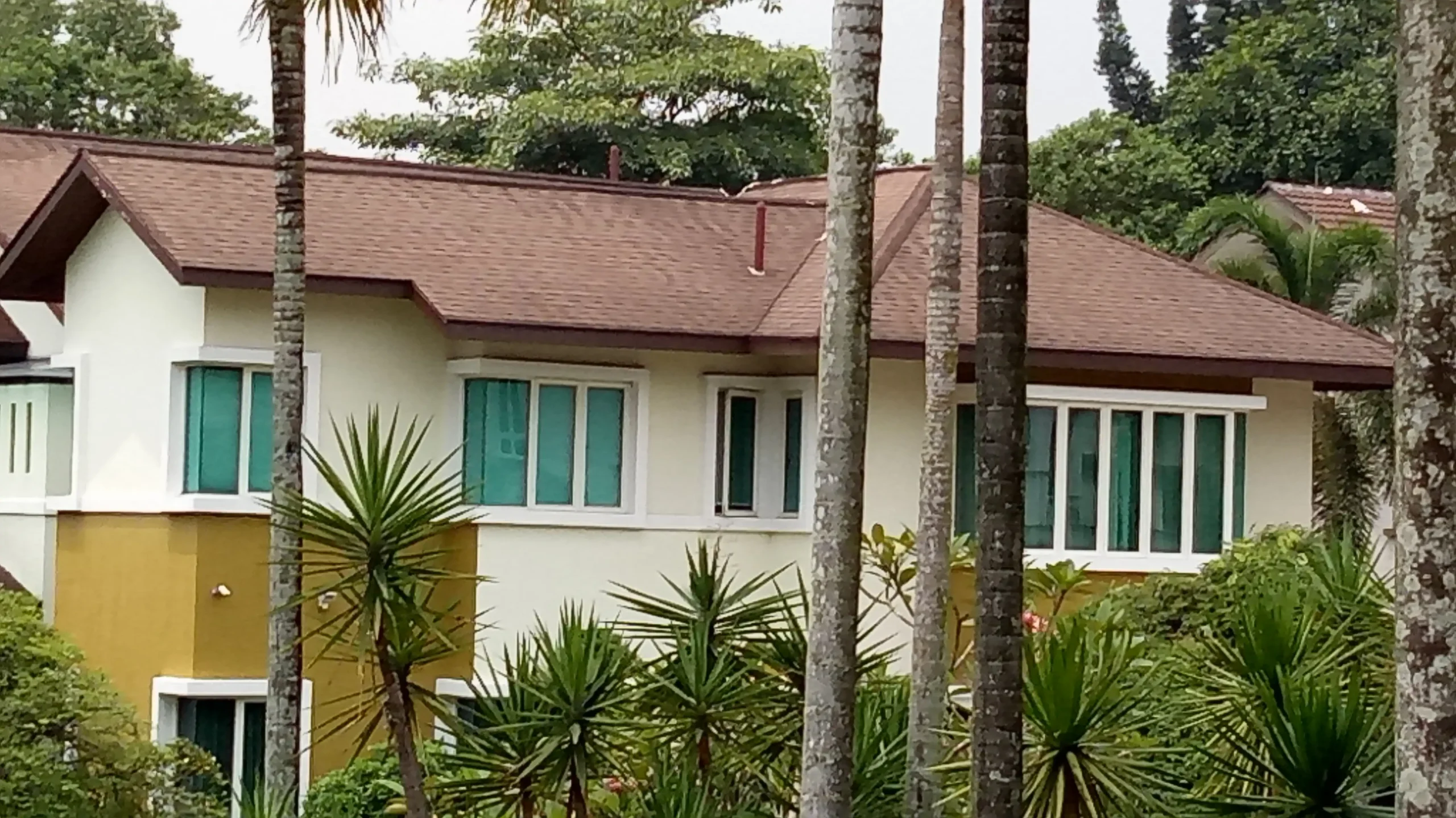 Shingles roofing